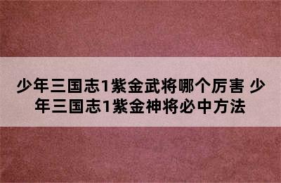 少年三国志1紫金武将哪个厉害 少年三国志1紫金神将必中方法